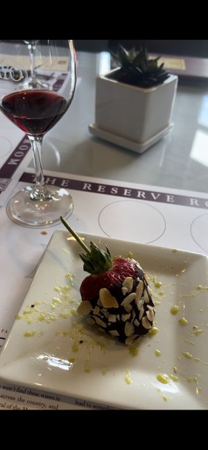 Kiwi sauce with chocolate covered strawberry mmm  at Mayo Family Winery in Kenwood