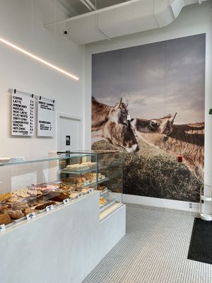   at To Live For in Vancouver