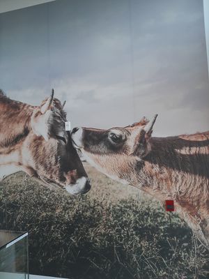 ❤ at To Live For in Vancouver