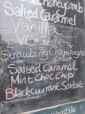 All the vegan flavours (August 2024) at Borth Cafe - Uncle Albert's Ice Cream Emporium in Borth