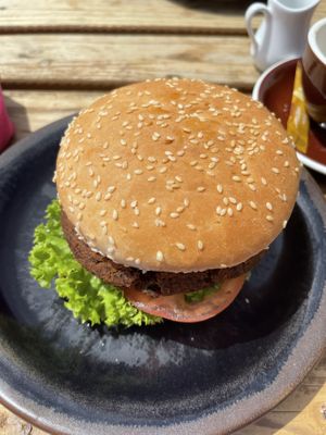   at Jack Rabbit in Lake Tekapo