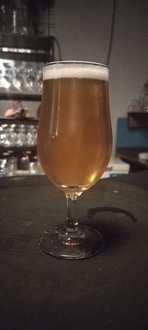 Babylon Beer (Panzer Keller) at Radici Cocktails & Beer in Albano Laziale