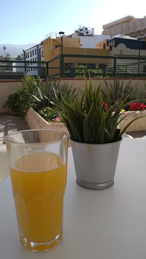 Fresh orange juice on the very peaceful terrace at Toc Toc in Tenerife