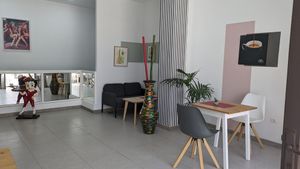 Toc Toc at Toc Toc in Tenerife