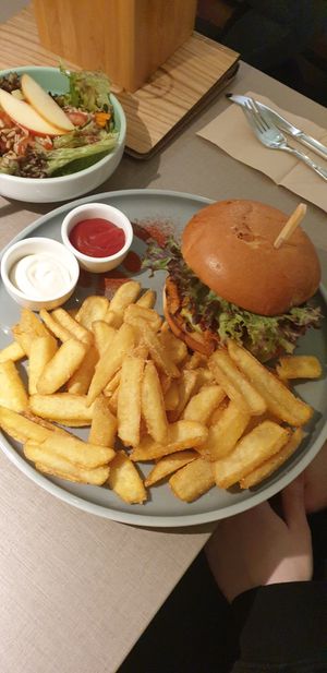  at Katzentempel - Hannover in Hannover