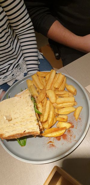  at Katzentempel - Hannover in Hannover