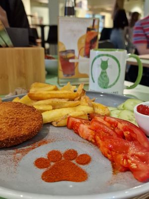  at Katzentempel - Hannover in Hannover