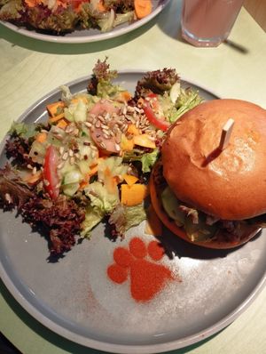  at Katzentempel - Hannover in Hannover