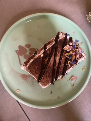   at Katzentempel - Hannover in Hannover