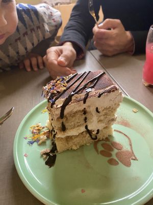   at Katzentempel - Hannover in Hannover