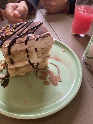   at Katzentempel - Hannover in Hannover