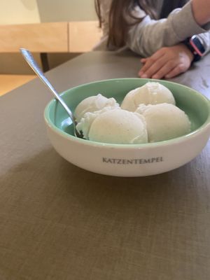   at Katzentempel - Hannover in Hannover