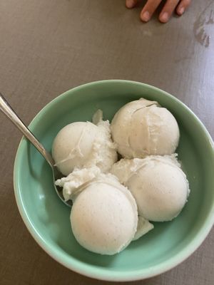   at Katzentempel - Hannover in Hannover