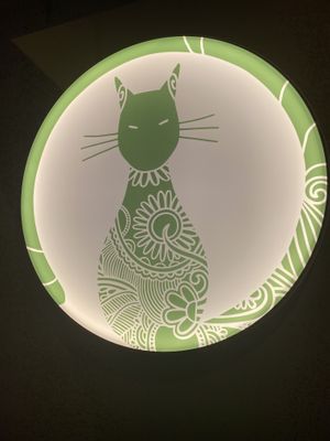   at Katzentempel - Hannover in Hannover