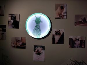 Wall with all the cats at Katzentempel - Hannover in Hannover