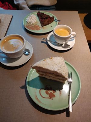  at Katzentempel - Hannover in Hannover