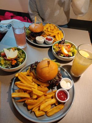  at Katzentempel - Hannover in Hannover