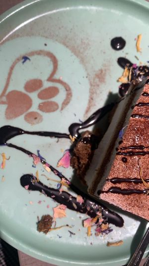 Tiramisu   at Katzentempel - Hannover in Hannover