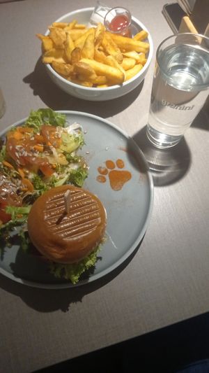  at Katzentempel - Hannover in Hannover