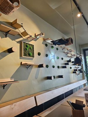  at Katzentempel - Hannover in Hannover