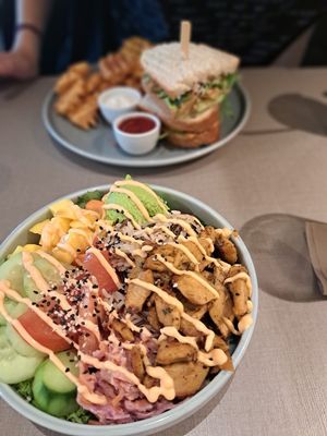  at Katzentempel - Hannover in Hannover