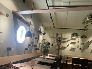 Ambiente  at Katzentempel - Hannover in Hannover