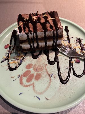   at Katzentempel - Hannover in Hannover