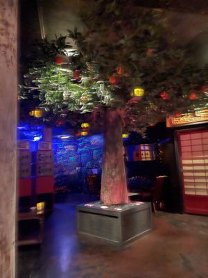 The inside  at Wild Orange in Honolulu