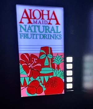 Sneaky entrance! Super groovy!  at Wild Orange in Honolulu