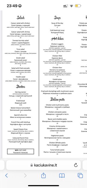   at Cat Cafe in Vilnius