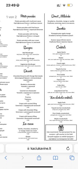   at Cat Cafe in Vilnius