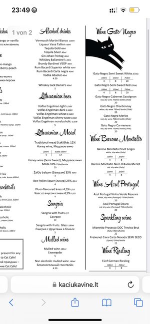   at Cat Cafe in Vilnius