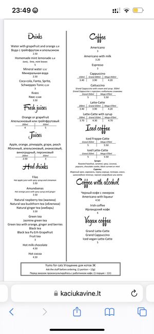   at Cat Cafe in Vilnius