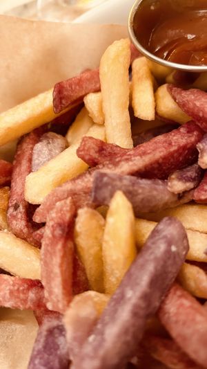   at Cat Cafe in Vilnius