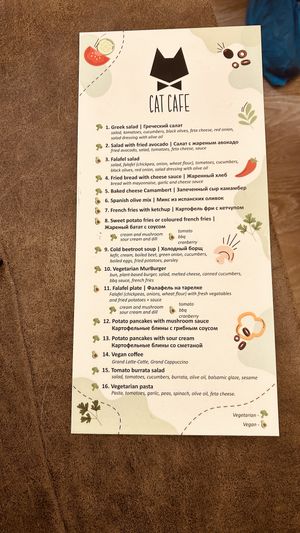   at Cat Cafe in Vilnius