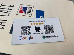  at Cat Cafe in Vilnius