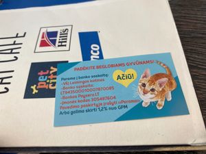  at Cat Cafe in Vilnius