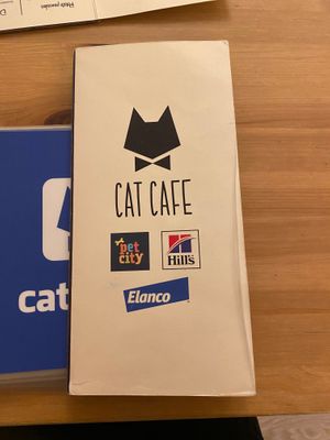  at Cat Cafe in Vilnius