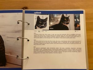  at Cat Cafe in Vilnius