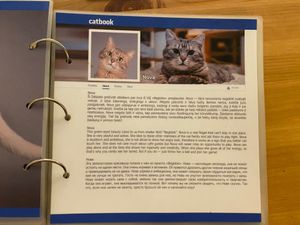  at Cat Cafe in Vilnius