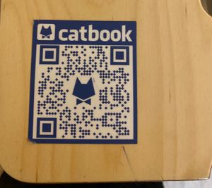  at Cat Cafe in Vilnius