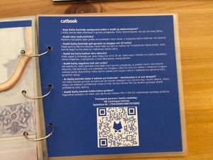  at Cat Cafe in Vilnius