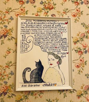  at Cat Cafe in Vilnius