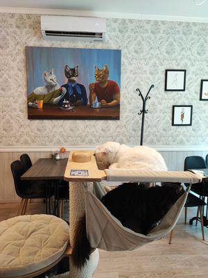  at Cat Cafe in Vilnius