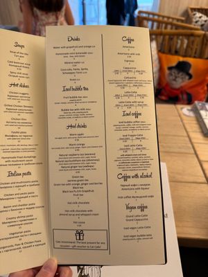  at Cat Cafe in Vilnius