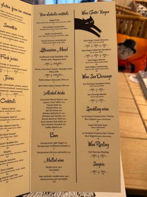  at Cat Cafe in Vilnius