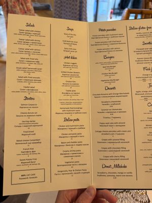  at Cat Cafe in Vilnius