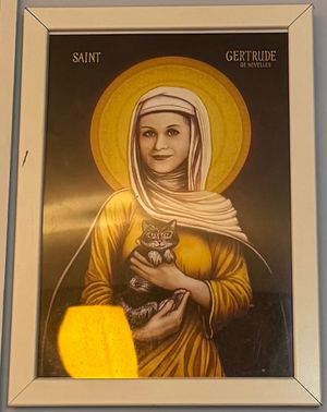  at Cat Cafe in Vilnius