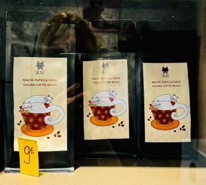  at Cat Cafe in Vilnius