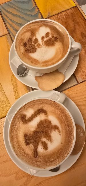  at Cat Cafe in Vilnius